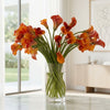 Orange Calla Lilies – Captain Trinity