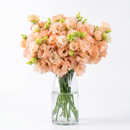 UK Grown Peach Lisianthus