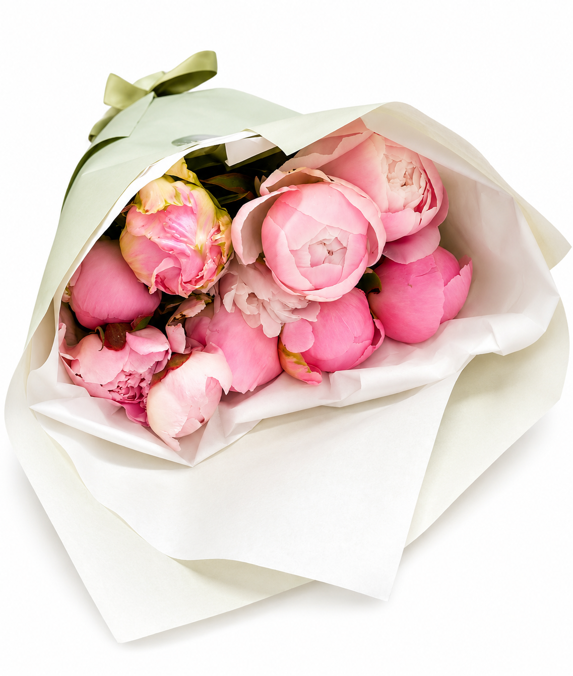 Premium British Pink Peonies
