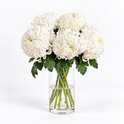 White Chrysanthemums