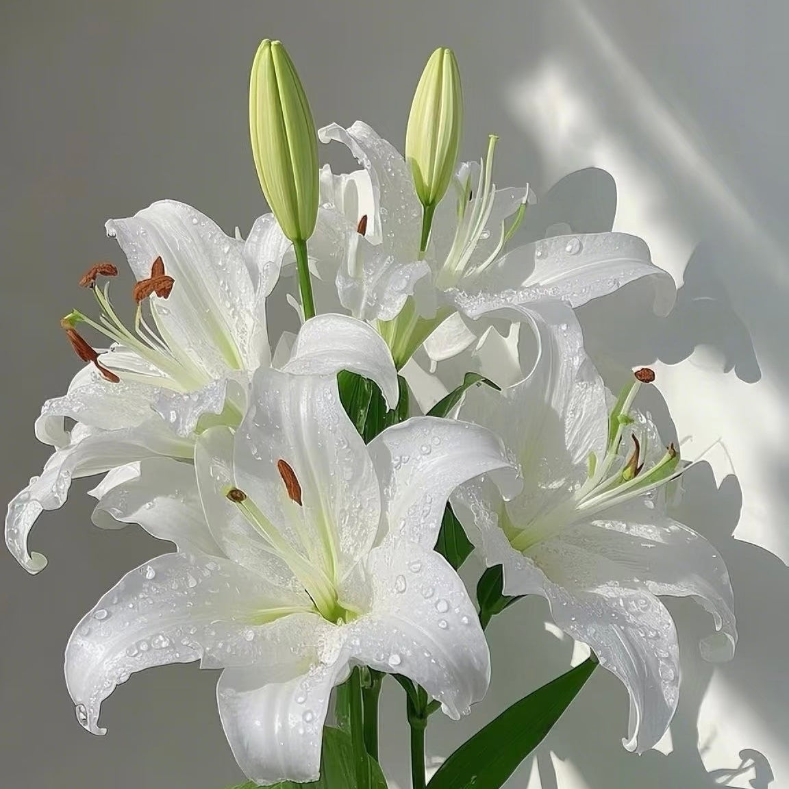 White Lily & Eucalyptus Bouquet