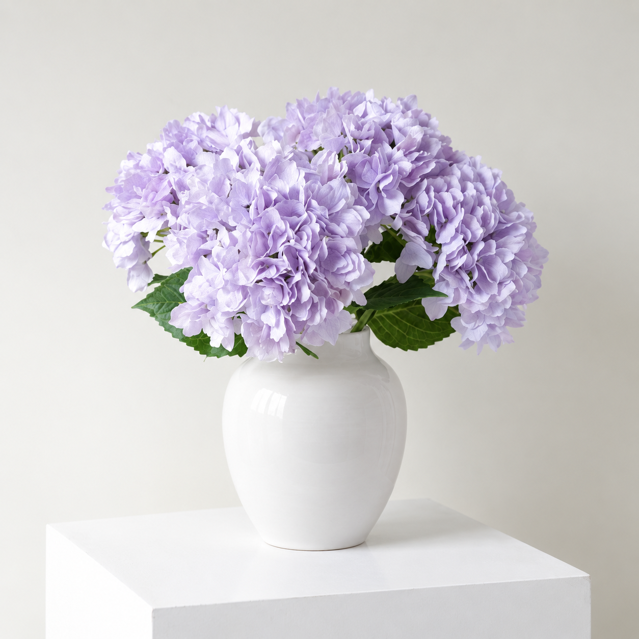Lavender Mist Hydrangea  Flowers