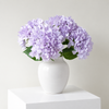 Lavender Mist Hydrangea  Flowers