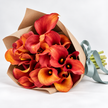 Orange Calla Lilies – Captain Trinity