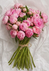 Premium British Pink Peonies | Limited Summer Release