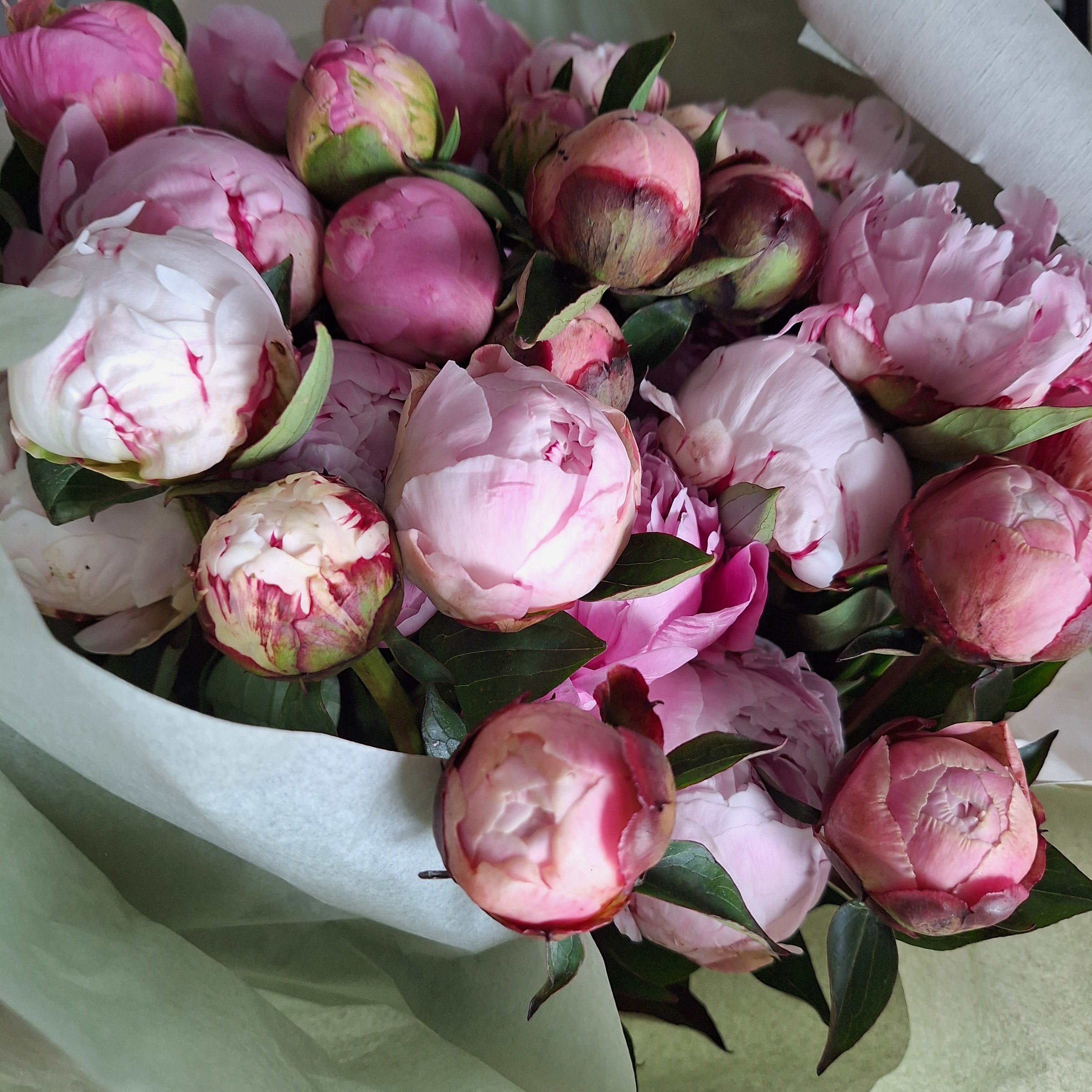 Mixed Peony Stems