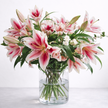 Pink Lily & Eucalyptus Bouquet