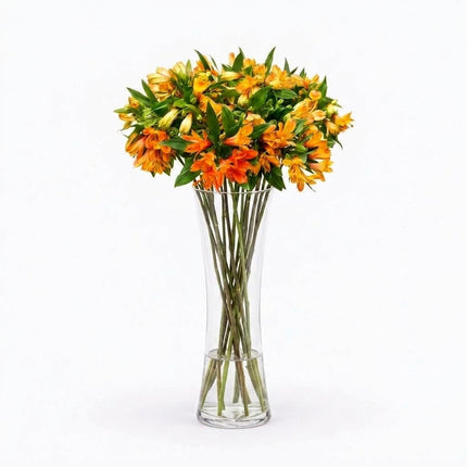 Alstroemeria - Orange