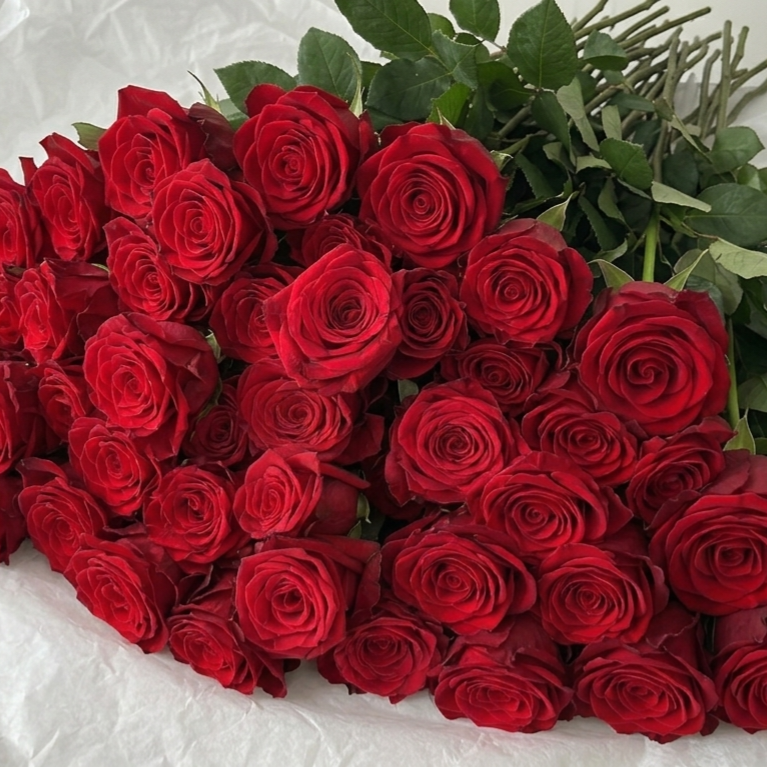 Premium Red Naomi Roses – The Market Edit