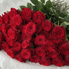 Premium Red Naomi Roses – The Market Edit