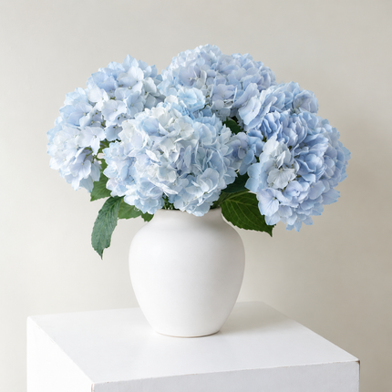 Baby Blue Hydrangea Flowers