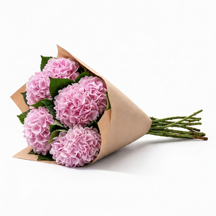 Baby Pink Hydrangea Flowers