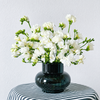 White Freesia - 50 Stems