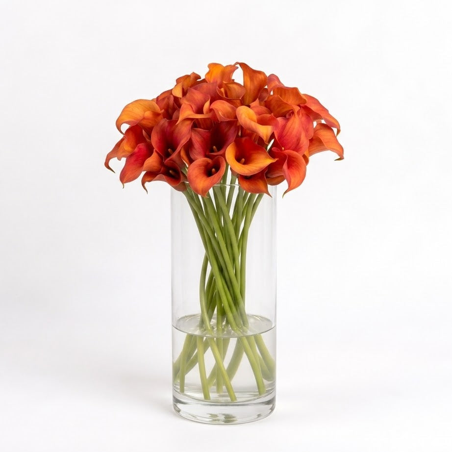 Orange Calla Lilies – Captain Trinity