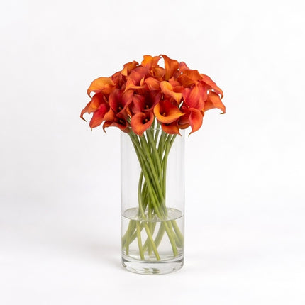 Orange Calla Lilies – Captain Trinity