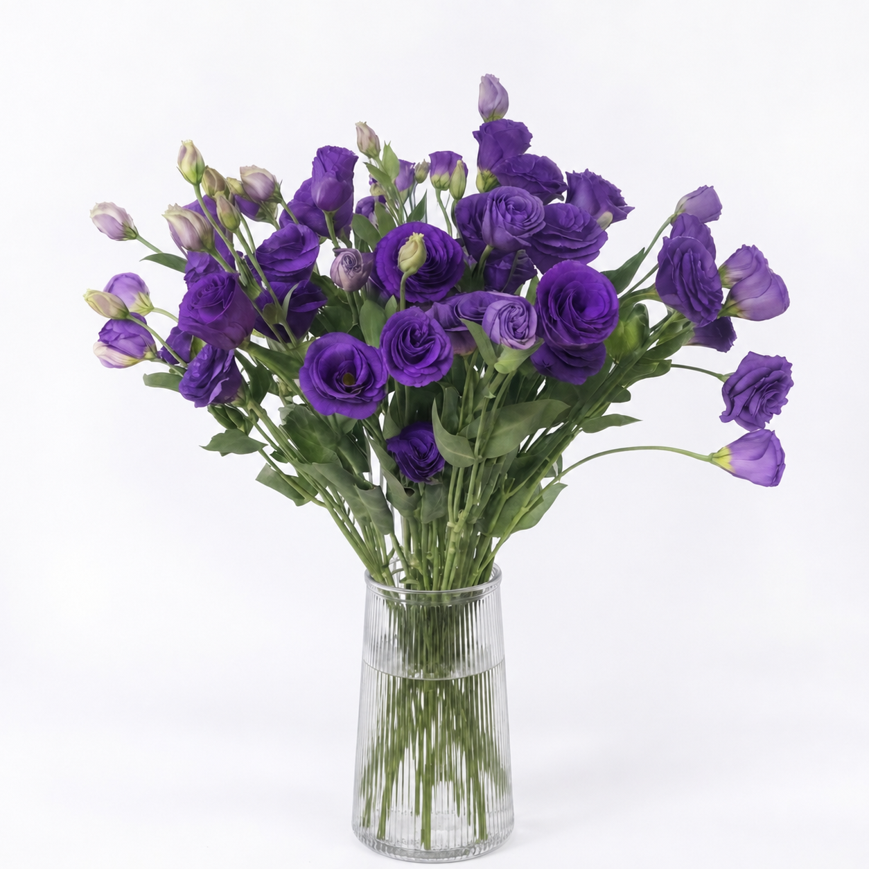 UK Grown Purple Lisianthus