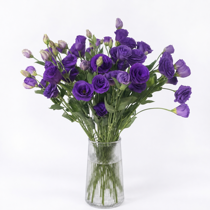 UK Grown Purple Lisianthus