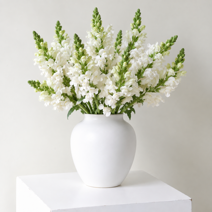 British White Snapdragon Flowers