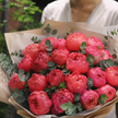 Coral Peony & Eucalyptus Bouquet