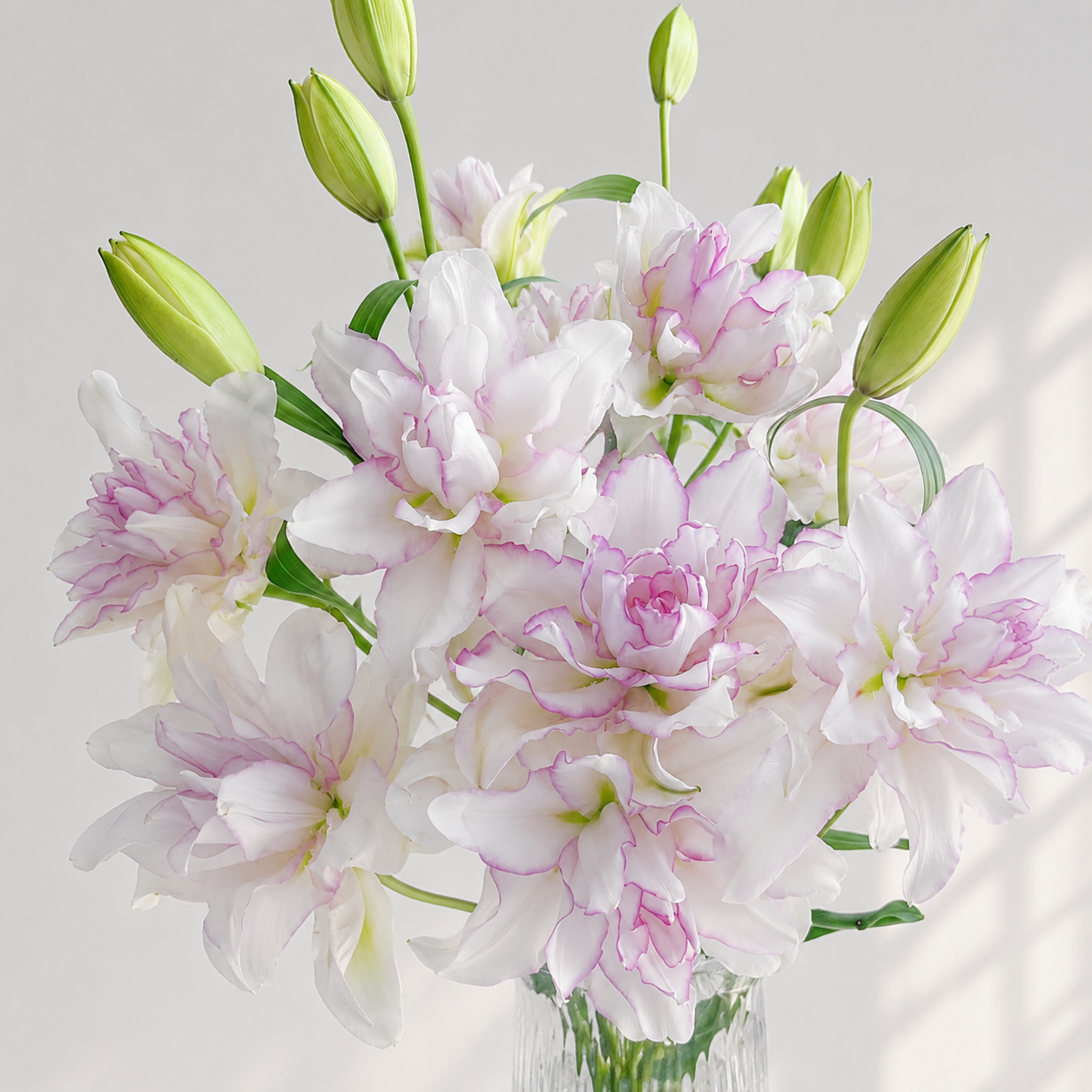 Roselily Anouska Double Lily | Pollen-Free Fresh Cut Flowers