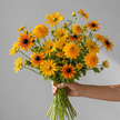 British Grown Mixed Rudbeckia – Golden Summer Flowers