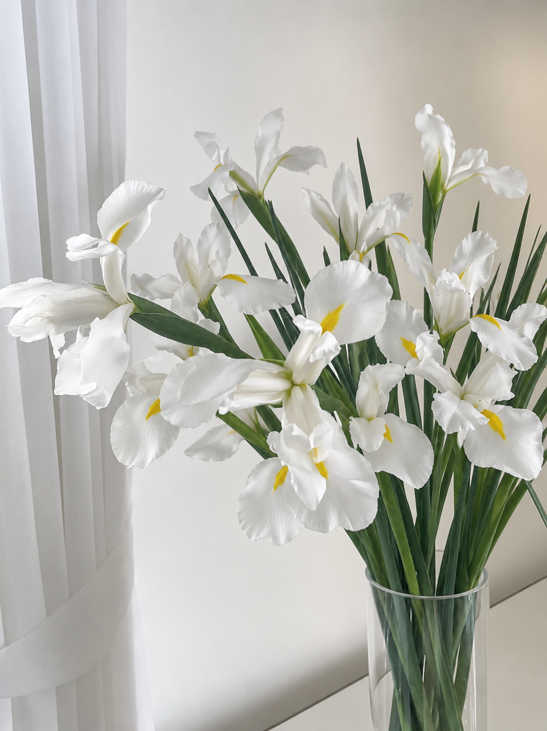 White Iris – British Grown Letterbox Flowers