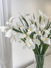 White Iris – British Grown Letterbox Flowers