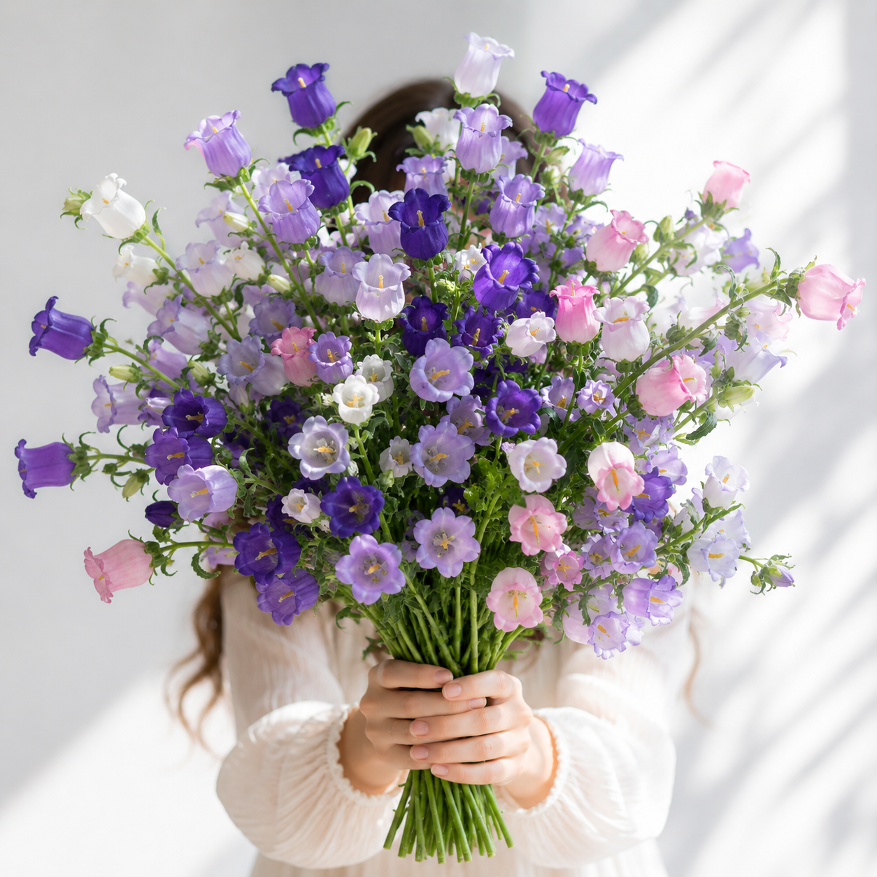 British Mixed Bright Campanula Stems