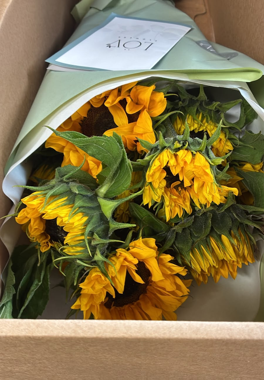 Sunflowers