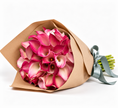 Pink Calla Lilies – Captain Romance