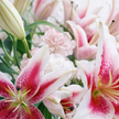 Pink Lily & Eucalyptus Bouquet