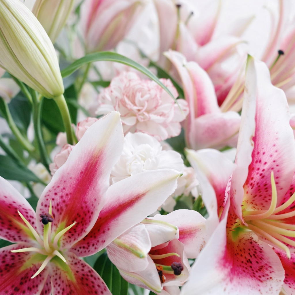 Pink Lily & Eucalyptus Bouquet