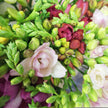 Mixed Freesia Bouquet