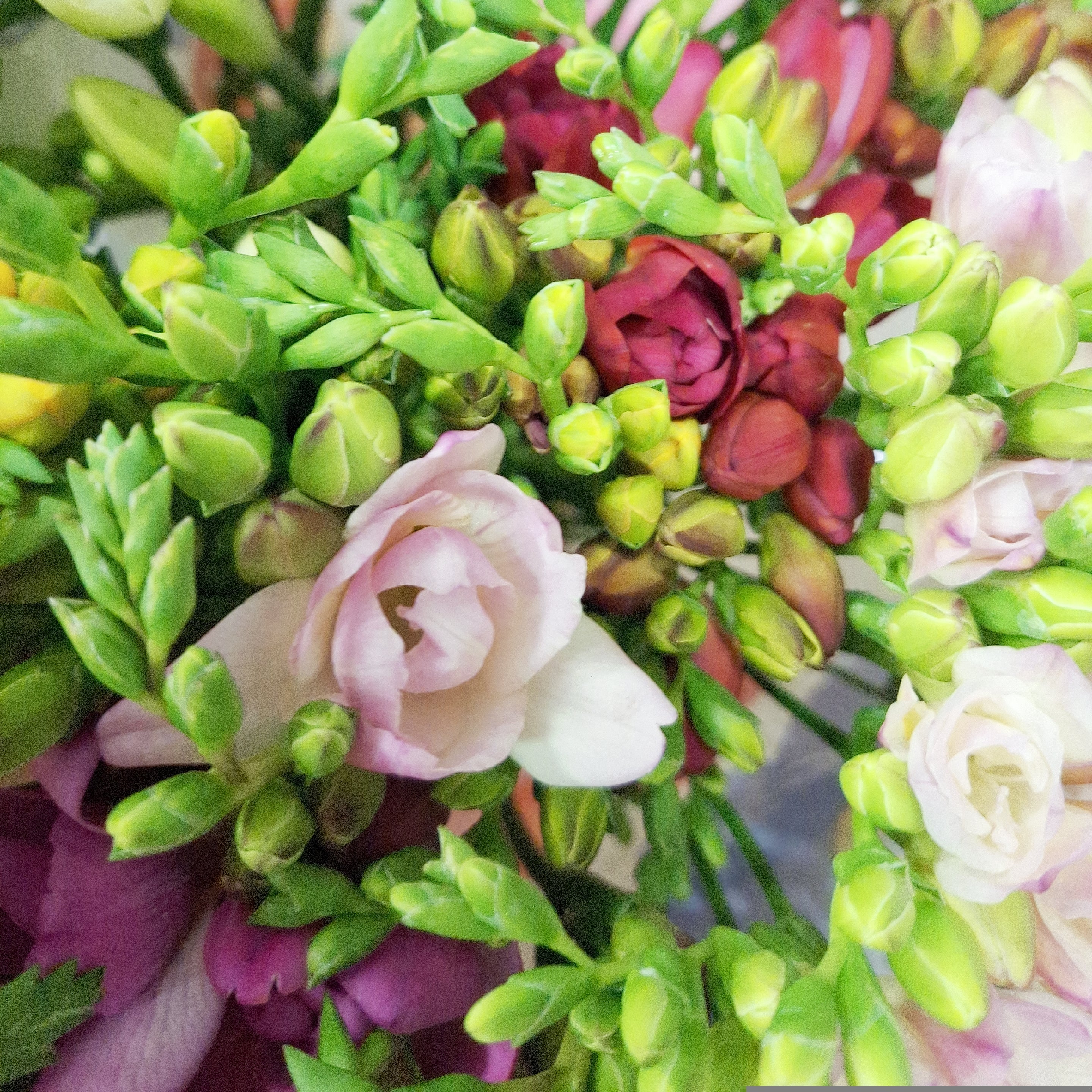 Mixed Freesia Bouquet