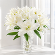 UK Grown Pollen-Free White Rose Lily ‘Delemara’