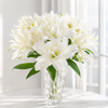 UK Grown Pollen-Free White Rose Lily ‘Delemara’
