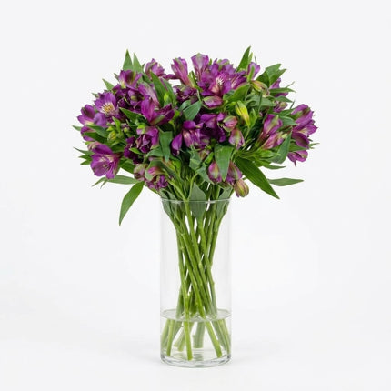 Alstroemeria - Purple