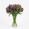 Alstroemeria - Purple