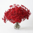 Red Dyed Gypsophila