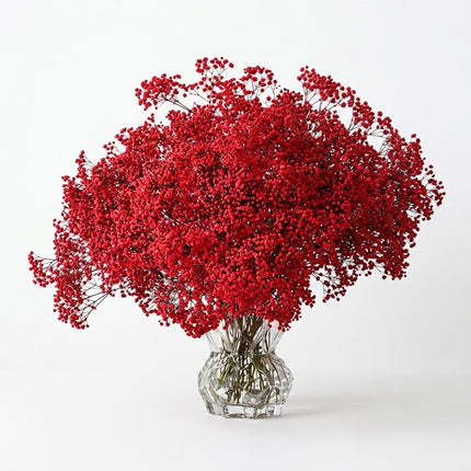 Red Dyed Gypsophila