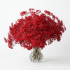 Red Dyed Gypsophila