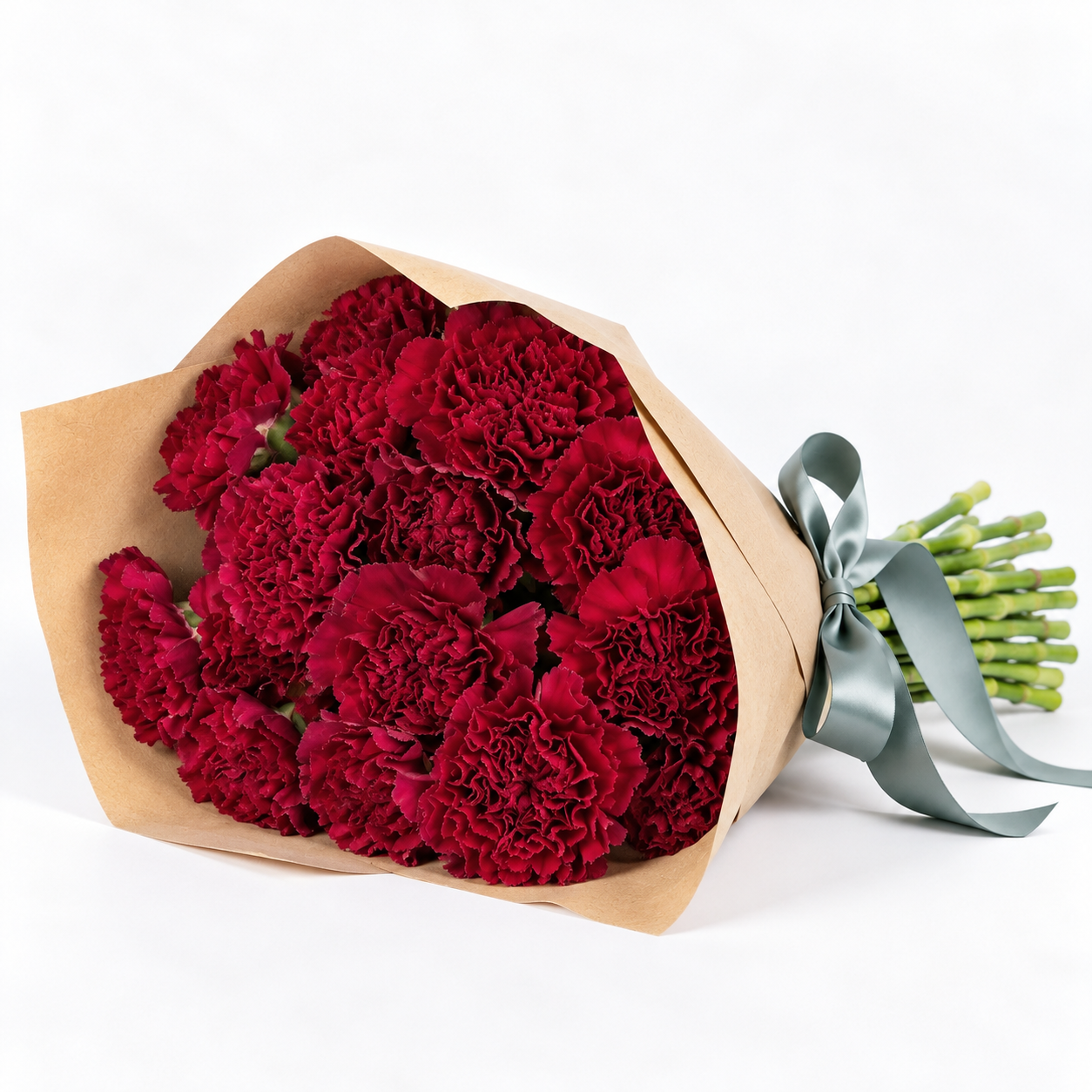 Carnations - Burgundy