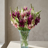 British Mixed Snapdragon Flowers