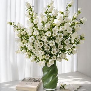 British white Campanula | Fresh Seasonal Bellflowers