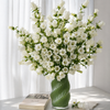 British white Campanula | Fresh Seasonal Bellflowers