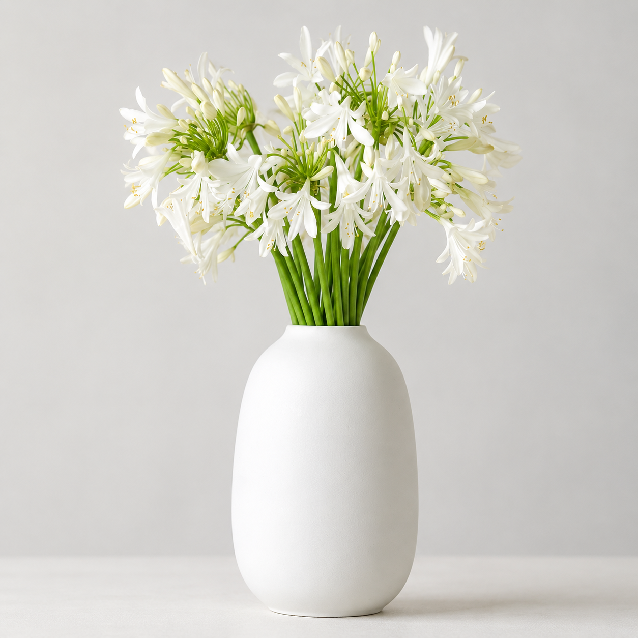 British-Grown White Agapanthus
