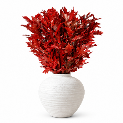 Red Dyed Oakleaf