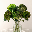 UK Grown Mixed Green Hydrangea