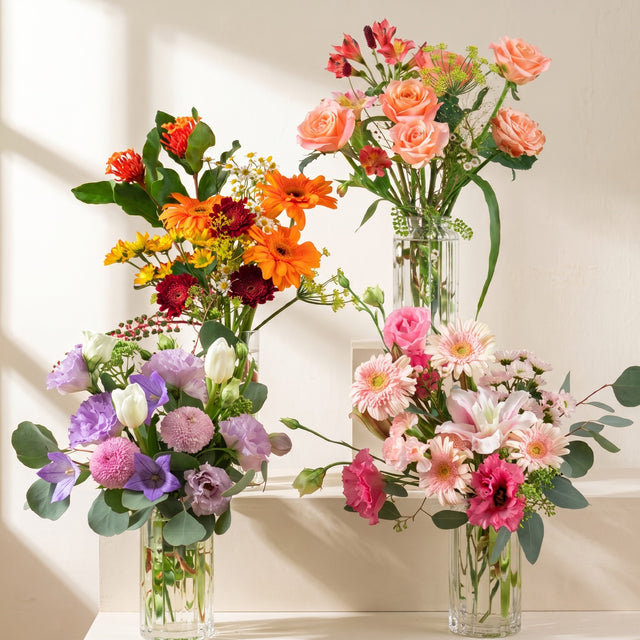 The Florist Choice Posy
