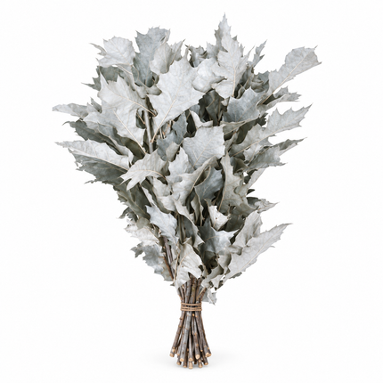 Frost White Dyed Oakleaf